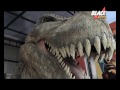 Blak In News Episode 249