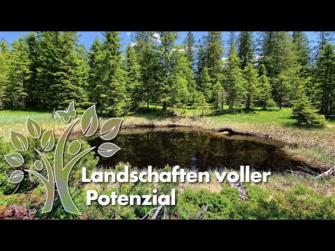 Landschaften voller Wasser – Potenziale unserer Wasserjuwele