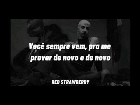 CHAMELEO, Carol biazin - enigma (letra)