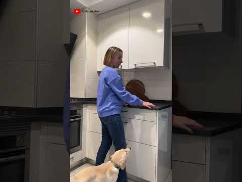 Alimentando a mi cachorrita Thelma (Episodio 01 Thelma & Ali) 🦮