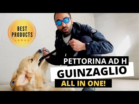 La migliore PETTORINA ad H e il GUINZAGLIO che vi stupirà!