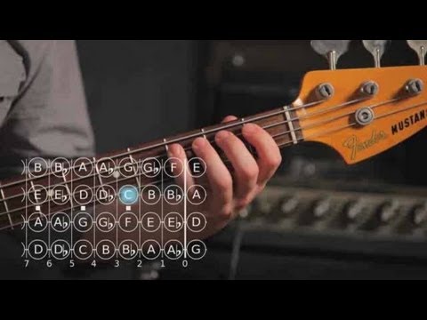How to Play A ♯ / B Flat Major Scale | Bass Guitar