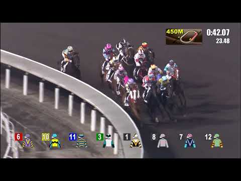 29/12/2021 (297) Elon - V Borges