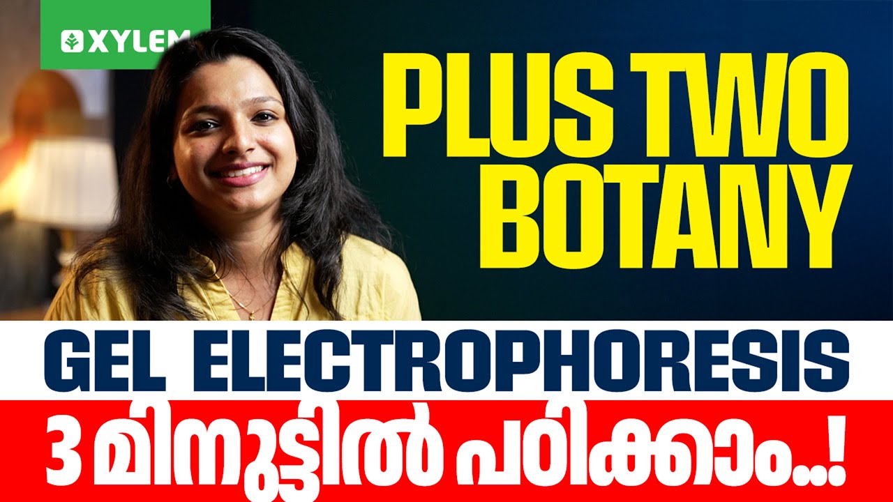 Plus Two Botany | Gel Electrophoresis 3 മിനുട്ടിൽ പഠിക്കാം... | Xylem Plus Two