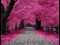 Tracy Chapman - Unsung Psalm