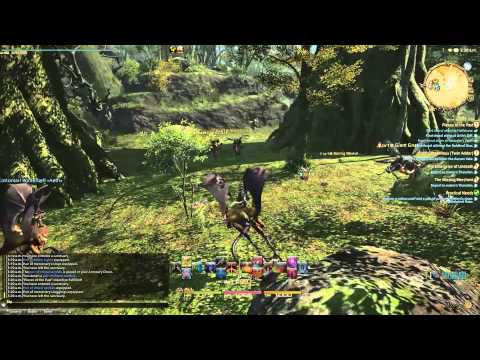 FF XIV ARR: Bard Class Quest   Level 45 - Artifact Gear Quest