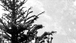 Katatonia | In The White | Urban Dub | Lyrics