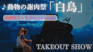 Download lagu 【TAKEOUT SHOW】銀座のスタジオで優雅に白鳥を奏でました🦢 mp3