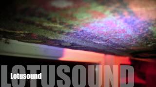 DJ Lotusound In The Mix Live