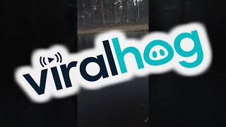 faze tari golf pe gheata