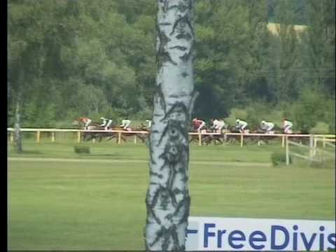 LL, 6. 7. 2017, 4. dostih - CENA CK MARTIN TOUR