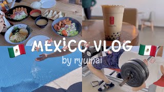 【メキシコ🇲🇽】アグアスカリエンテス生活｜日本食｜ゴンチャ