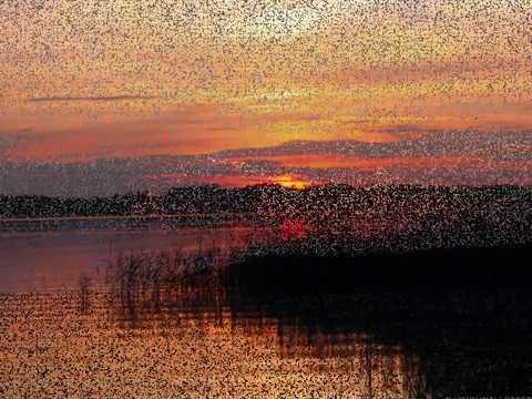 Sujud Ke Altar-Nya - Dewi Guna