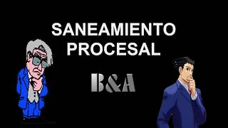 Principio de Saneamiento