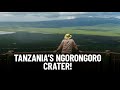 10 Facts About Tanzania S Ngorongoro Crater Travel Video