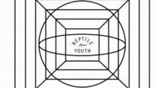 Reptile Youth : We&#39;re All In Here
