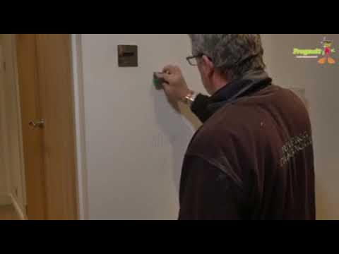 Frogsuit Power Cleaner