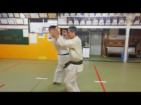 打撃を防御して当身のジャブからの小手返し