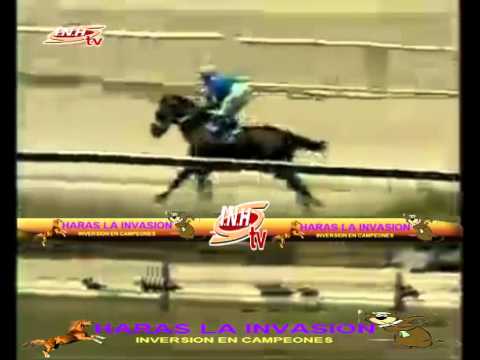 VALENCIA 3 CARRERA, VIERNES 20 DE FEBRERO DEL 2015