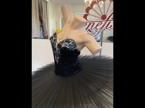 Lebada neagra P 0115 - video 4