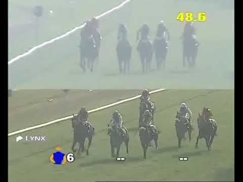 GOLDEN SIXTY wins The Roubaix Plate
