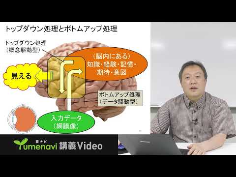 生活環境経済学科 夢ナビ2024：生理心理学―脳がみせる不思議な心の世界―（人間科学部 心理学科 石金 浩史先生）