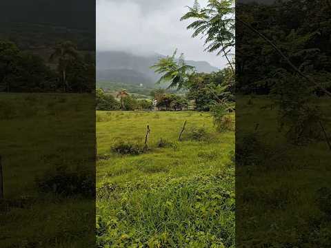 Passa Quatro - Livramento de Nossa Senhora - Bahia (04/12/25)