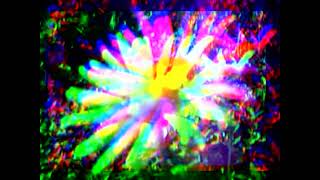 King of the Jailhouse - Aimee Mann - Cover - Live at Pikes Perk Coffee - May 2018