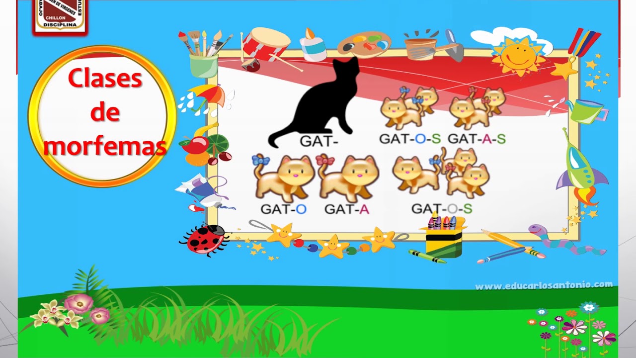 Morfología 3ro Secundaria