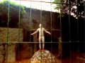 Clipe "Animal, Animais" (Piu Piu & Sua Banda)