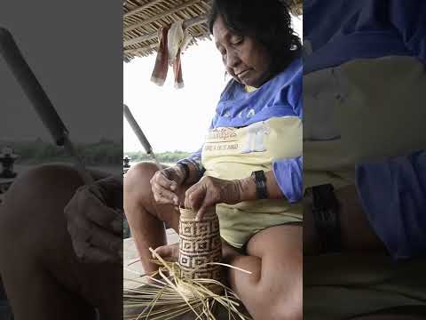 Vida Na Aldeia | Povo Paumari do Tapauá, no Amazonas