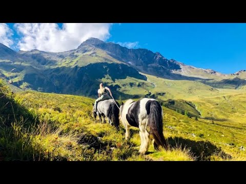 "Vom Zauber der Berge - Kärntens faszinierende Alpenwelt" im Livestream und TV: Hier sehen Sie die D