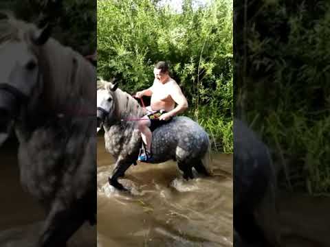 “HEKTOR TEAM” - KONJIČKI SPORTOVI
