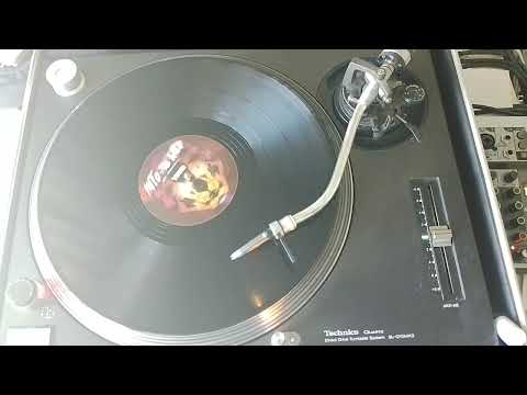 into the wild yowii A2 betabass ft skarramucci pacewon yowii rmx