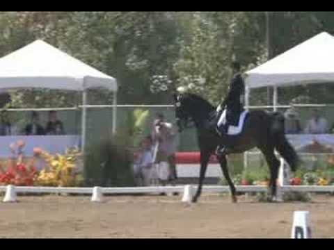 Steffen Peters + Ravel: Olympic Trials Grand Prix