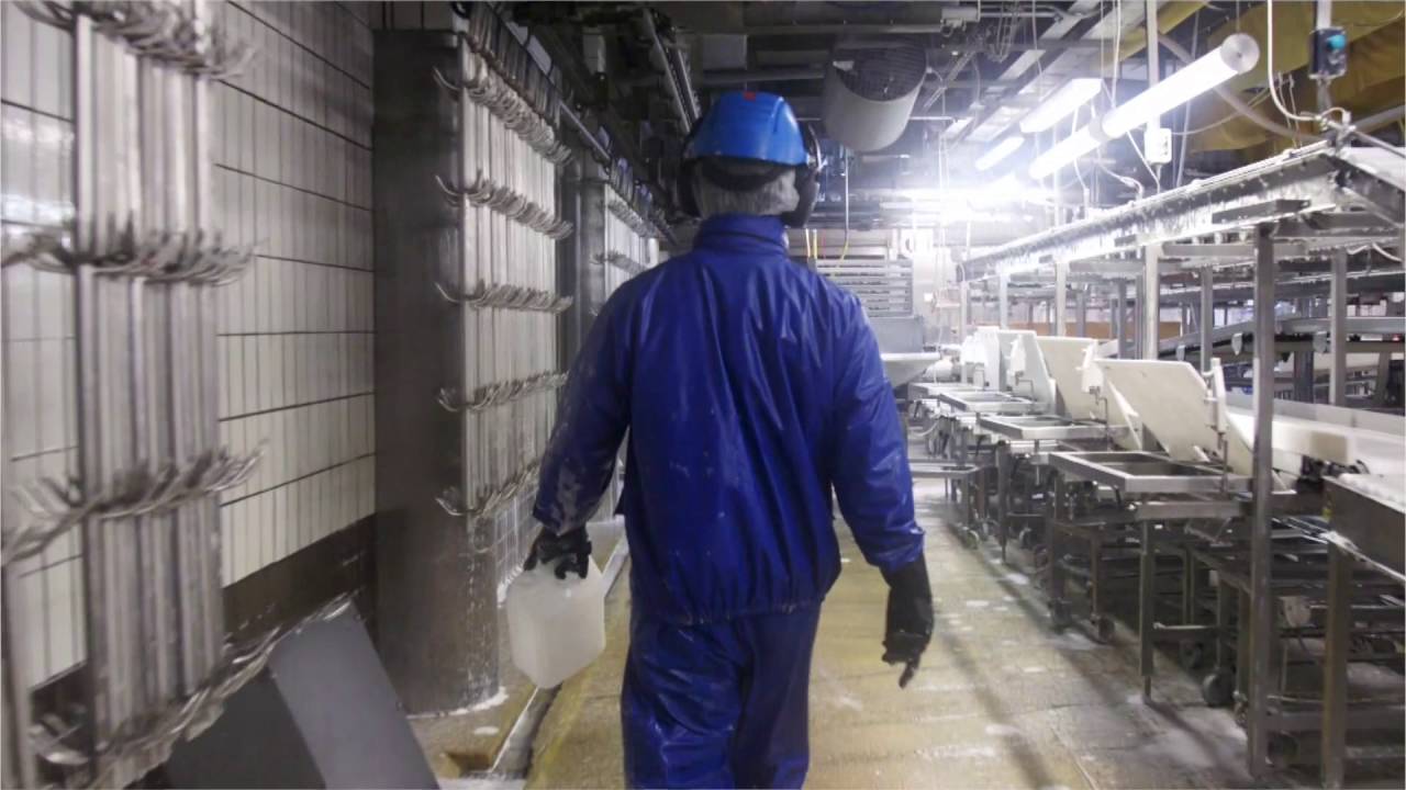 ELKA PRO Busseronne m/elastik