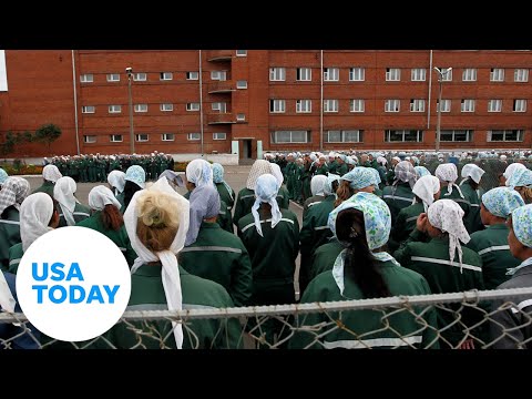 Life inside the Russian penal colony where Brittney Griner is serving nine years | USA TODAY