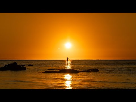 Delusions | Set | Progressive House | 27#