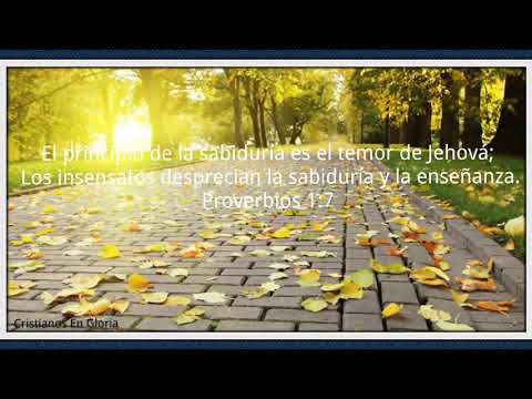 Paz En La Tormenta video