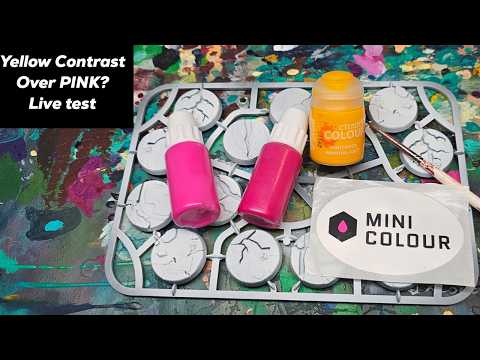 Yellow Contrast Over Pinks! Live testing, demo & FAQs