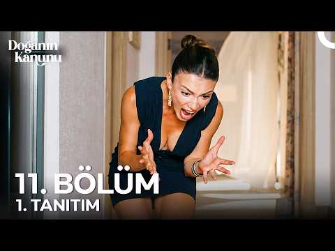 Doğanın Kanunu