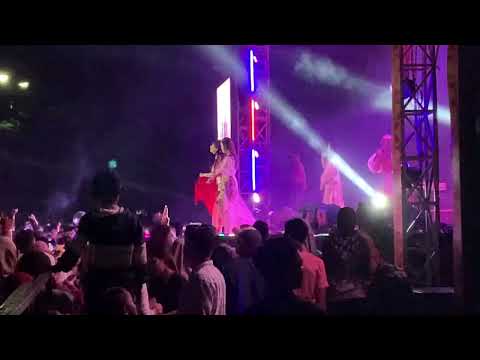 Trio macan goyang pesawaran lampung