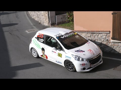 GASPARINI-PACHERA -- PEUGEOT 208 R2B -- RALLY 1000 MIGLIA 2021 PS 4