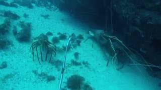 Bunbury cray hole we call the coliseum