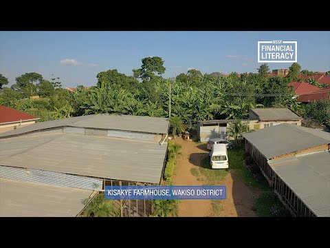 NSSF Action Cohort - Poultry Farming Episode 1 - Overview
