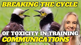 The Reinforcement of Conflict: Breaking The Cycle of Toxicity in Training Communications