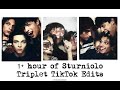 STURNIOLO TRIPLETS EDIT COMPILATION TIKTOK 1 HOUR LONG