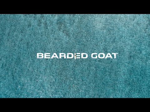 download lagu mp3 mp4 Bearded Goat, download lagu Bearded Goat gratis, unduh video klip Bearded Goat