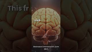 Download lagu 40 Hz Gamma Waves = Genius Brain Energy | Boost Focus, Memory & Mental Clarity 🎯 Binaural Beats mp3 Download lagu 40 Hz Gamma Waves = Genius Brain Energy | Boost Focus, Memory & Mental Clarity 🎯 Binaural Beats mp3