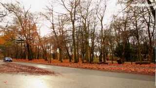 Volkswagen Scirocco review and road test 2013